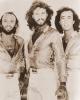 bee-gees-trafalgar-referencial-SEPIA